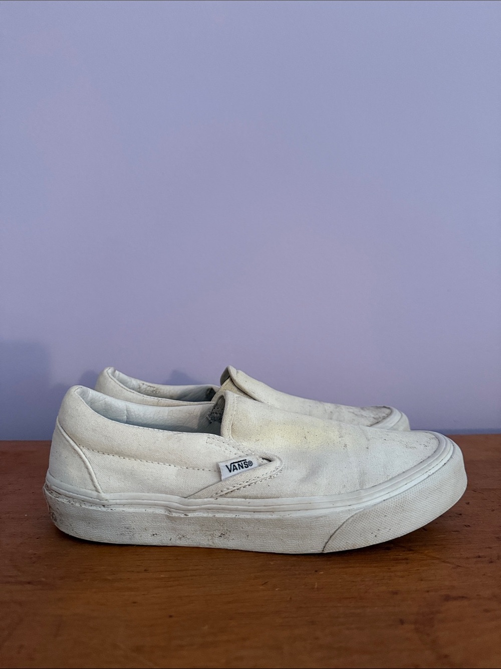 Vans White Canvas Slip-On Shoes